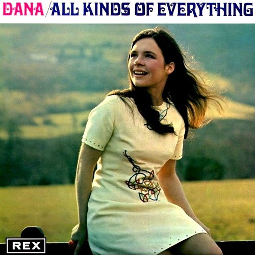 All Kinds Of Everything