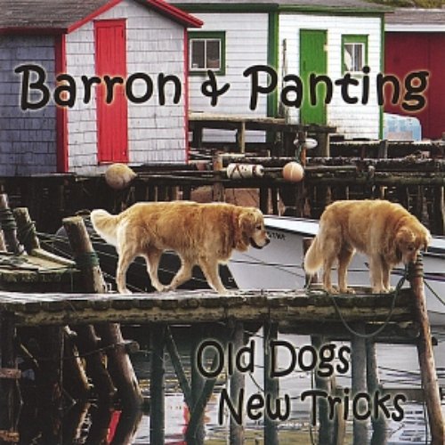 Old Dogs New Tricks