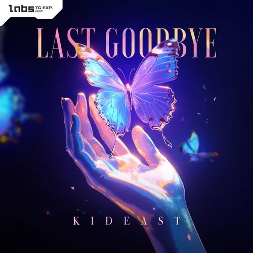 Last Goodbye