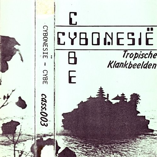 Cybonesie