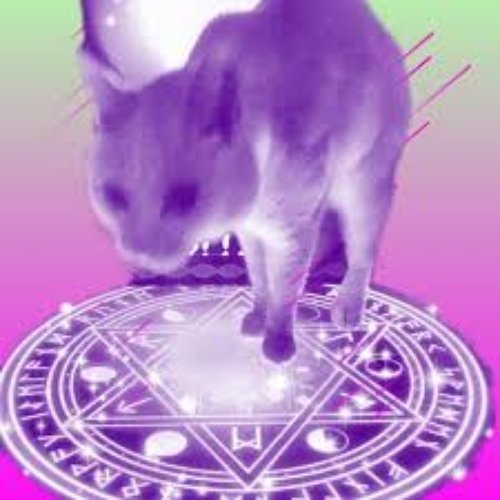 Def Insanity - Single