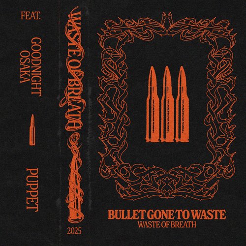 Bullet Gone To Waste