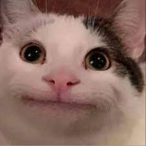 Belupacito
