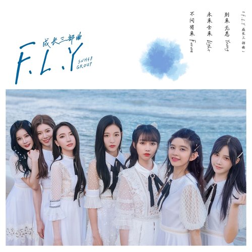 Fly 成长三部曲