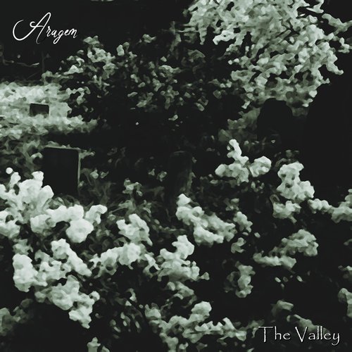 The Valley... - Single
