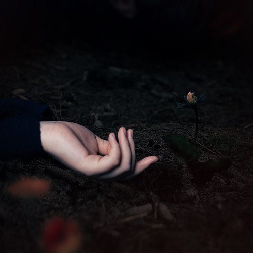 อยากมีความหมาย - Single