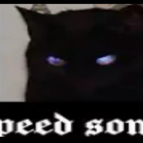 Agora que eu estou sozinho nesse mal caminho speed up