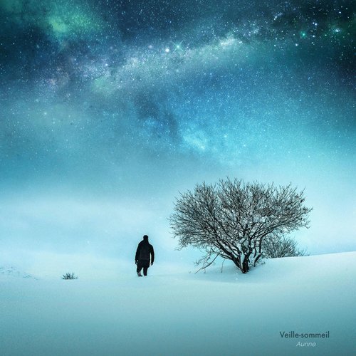 Veille-sommeil