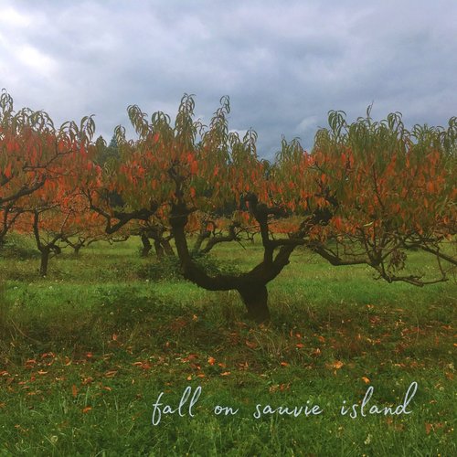 Fall on Sauvie Island - Single