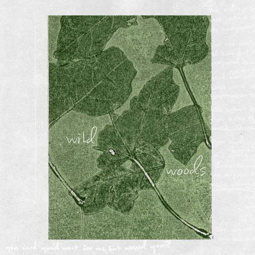 Wild Woods - Single
