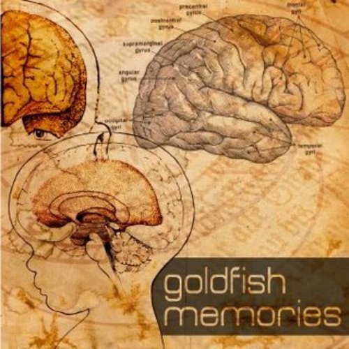 Goldfish Memories