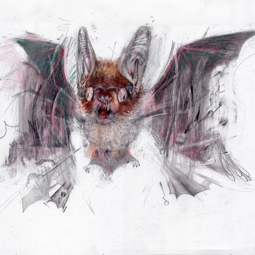 Leech - Single