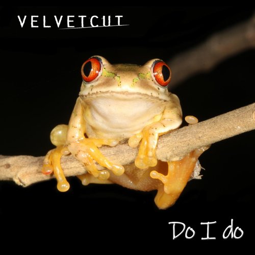 Do I Do - Single