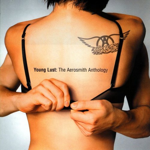 Young Lust: The Aerosmith Anthology (CD 1)