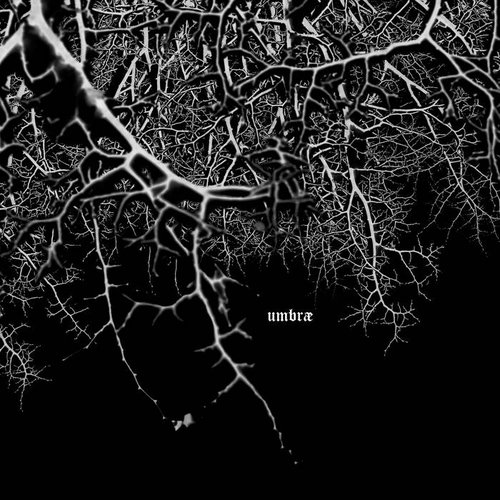 Umbræ