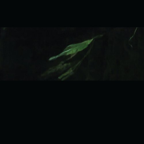 ＳＴＥＡＬＴＨ