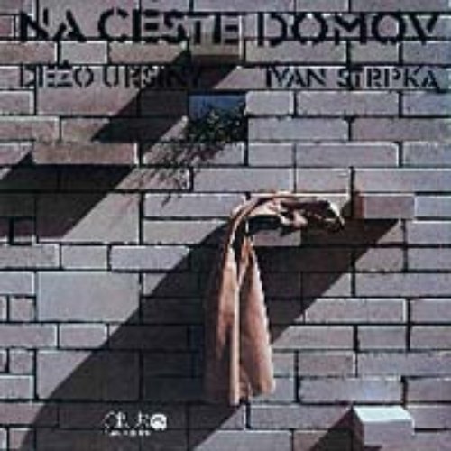 Na ceste domov