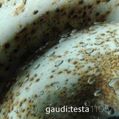 Gaudi:Testa 1105