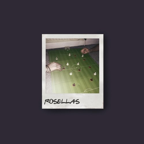 Rosellas