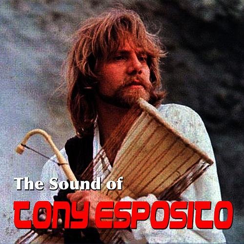 The Sound of Tony Esposito