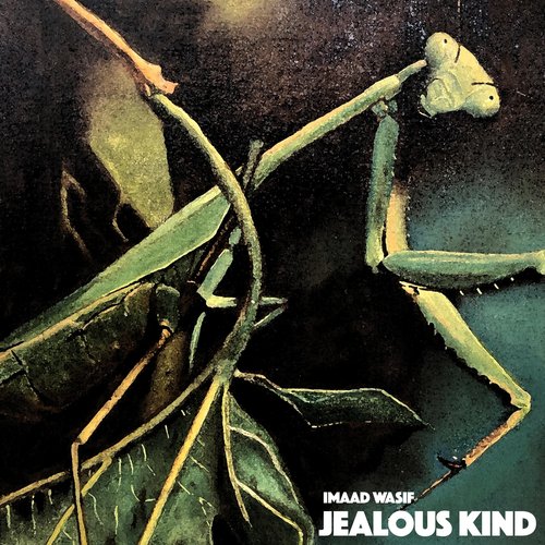 Jealous Kind