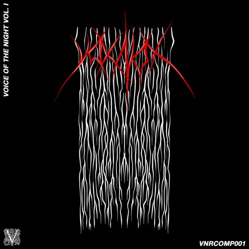 Voice Of The Night Vol. 1