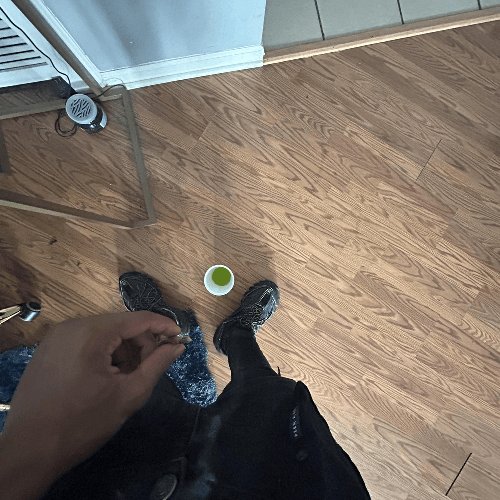 Need4Speed