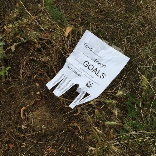 GOALS 001