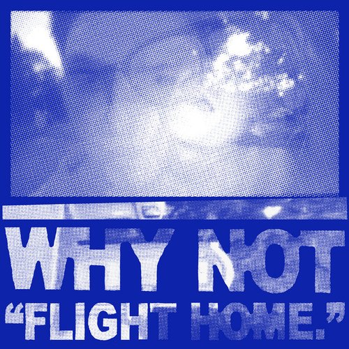 Flight Home