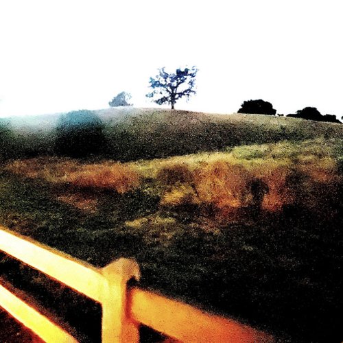 Big Ol' Bird - Single