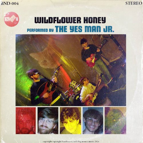 Wildflower Honey