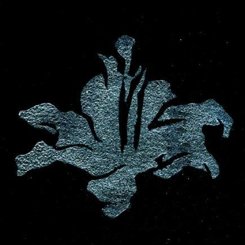 Splinter Star Shines