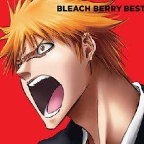 BLEACH BERRY BEST