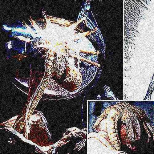 XENOMOPRH BEATTAPE