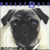 Sophie cover