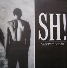 Vad tyst det är cover