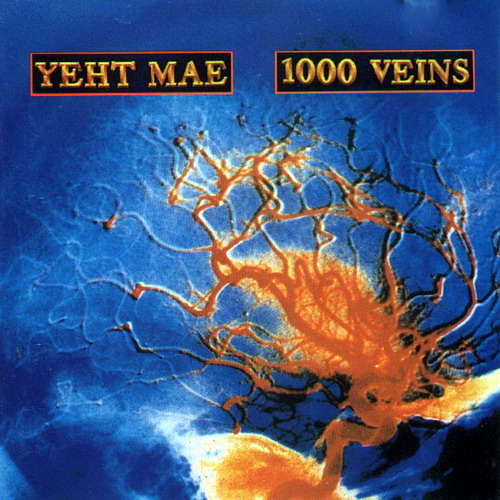 1000 Veins cover
