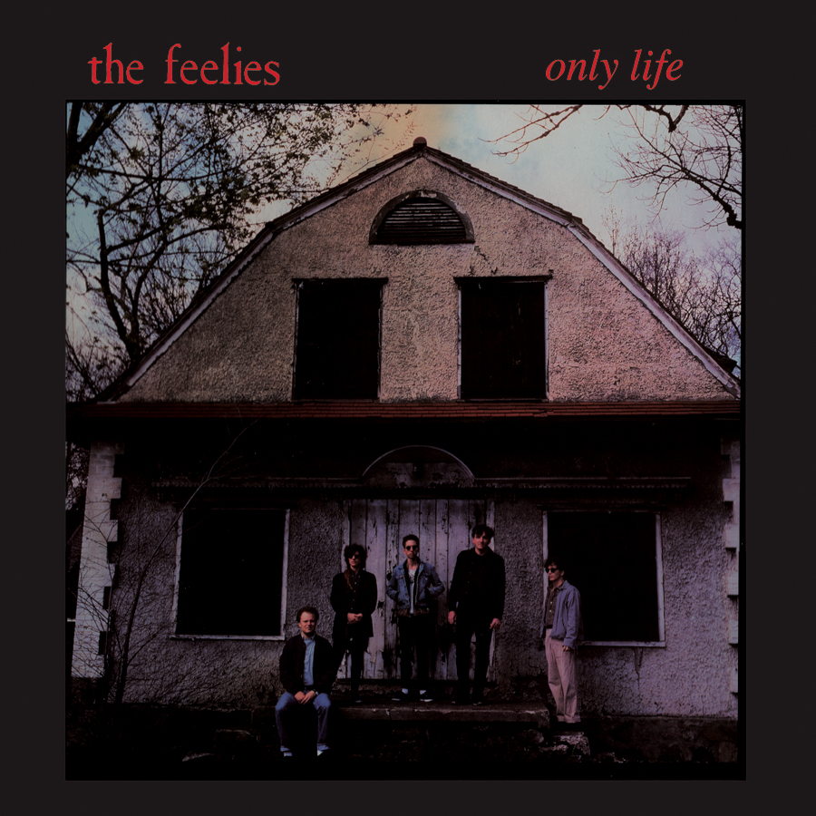 Only Life cover