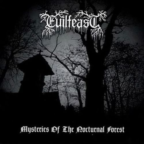 Mysteries of the Nocturnal Forest cover
