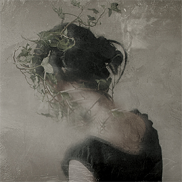 Belkiss cover