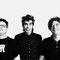 Shellac | 2024