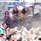 Icon for Hire live