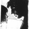 Syd&Lindsey Korner