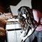 Kurt Vile