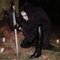 imagem_2024-04-01_171606264.png