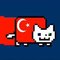 Turkish Nyan Cat