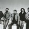 los lobos 1987