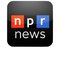 npr news