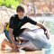 Justin-Bieber-with-Dolphin---by-Lisa-Frank