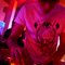 Bootleg Club (NL) 3
